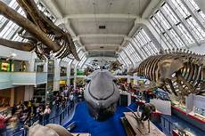 Display Showcases